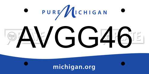 AVGG46 Michigan License Plate