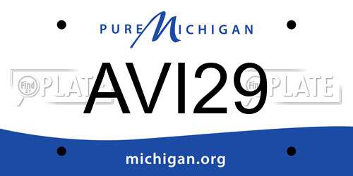 AVI29 Michigan License Plate