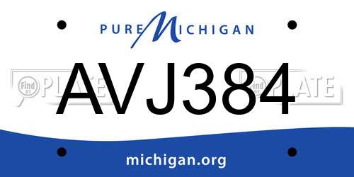 AVJ384 Michigan License Plate