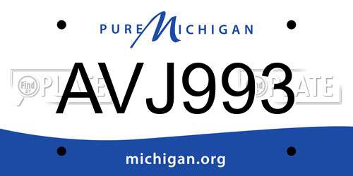 AVJ993 Michigan License Plate