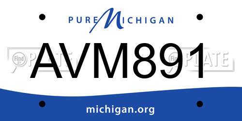 AVM891 Michigan License Plate