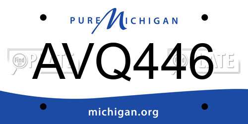 AVQ446 Michigan License Plate