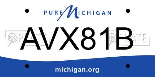 AVX81B Michigan License Plate
