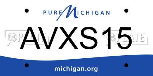 AVXS15 Michigan License Plate
