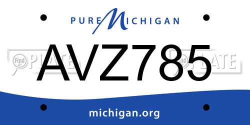 AVZ785 Michigan License Plate