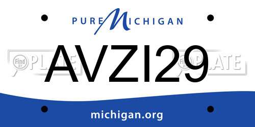 AVZI29 Michigan License Plate