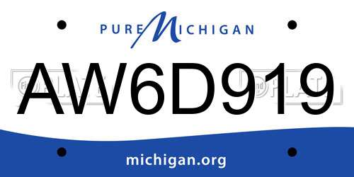 AW6D919 Michigan License Plate