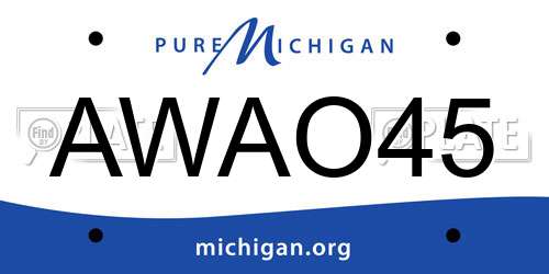 AWAO45 Michigan License Plate