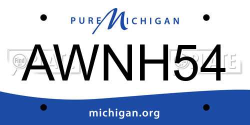 AWNH54 Michigan License Plate