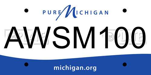 AWSM100 Michigan License Plate