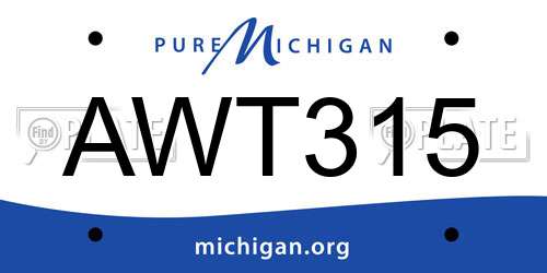 AWT315 Michigan License Plate