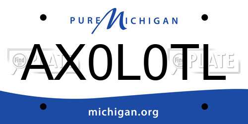 AX0L0TL Michigan License Plate