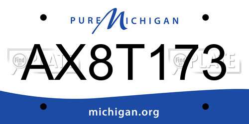 AX8T173 Michigan License Plate