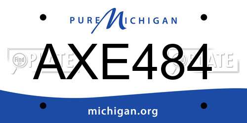 AXE484 Michigan License Plate