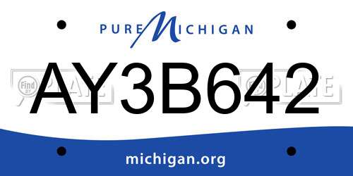 AY3B642 Michigan License Plate