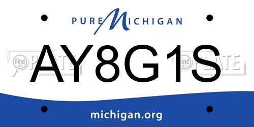 AY8G1S Michigan License Plate