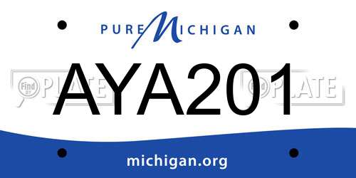 AYA201 Michigan License Plate
