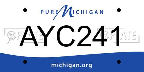 AYC241 Michigan License Plate