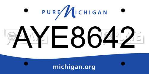 AYE8642 Michigan License Plate