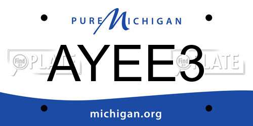 AYEE3 Michigan License Plate