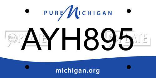 AYH895 Michigan License Plate