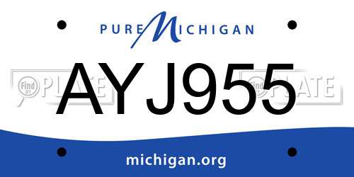 AYJ955 Michigan License Plate