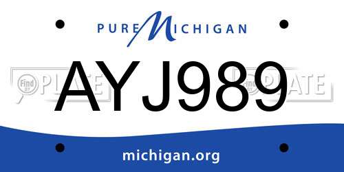 AYJ989 Michigan License Plate