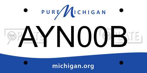 AYN00B Michigan License Plate