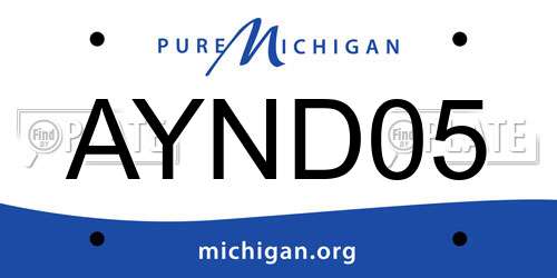 AYND05 Michigan License Plate