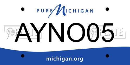 AYNO05 Michigan License Plate