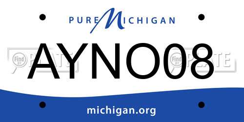 AYNO08 Michigan License Plate
