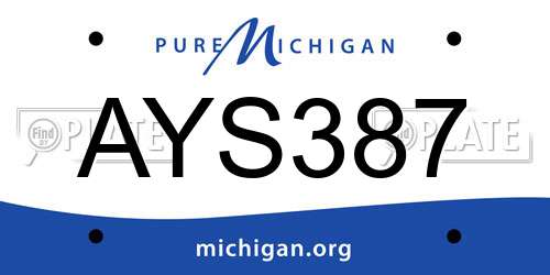 AYS387 Michigan License Plate