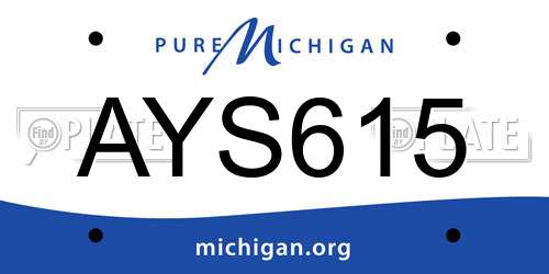 AYS615 Michigan License Plate