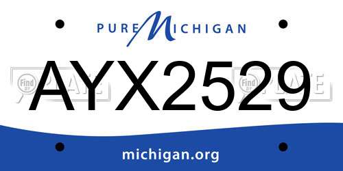 AYX2529 Michigan License Plate