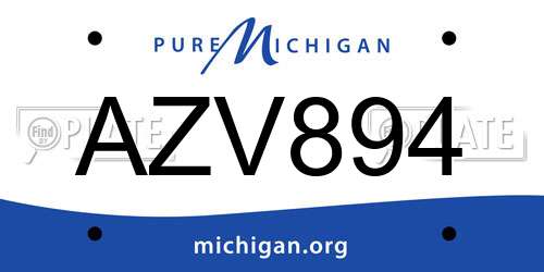 AZV894 Michigan License Plate