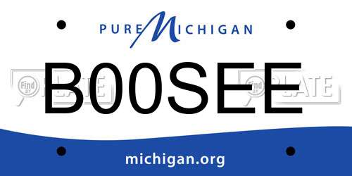 B00SEE Michigan License Plate