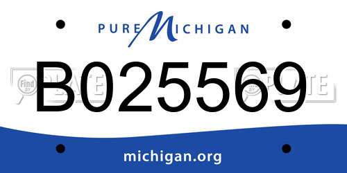 B025569 Michigan License Plate