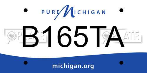 B165TA Michigan License Plate