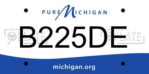 B225DE Michigan License Plate