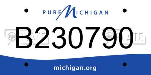 B230790 Michigan License Plate