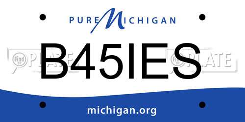 B45IES Michigan License Plate