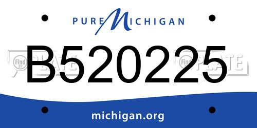 B520225 Michigan License Plate