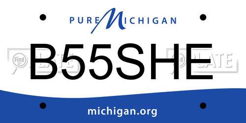 B55SHE Michigan License Plate