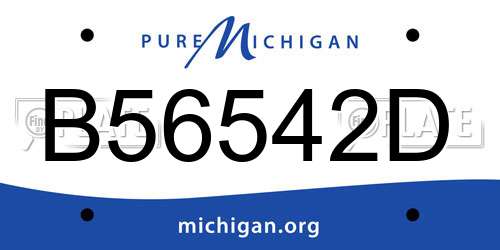 B56542D Michigan License Plate