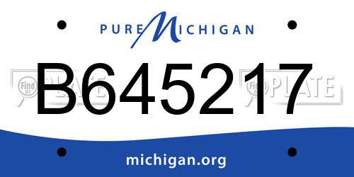 B645217 Michigan License Plate
