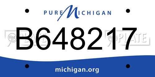 B648217 Michigan License Plate
