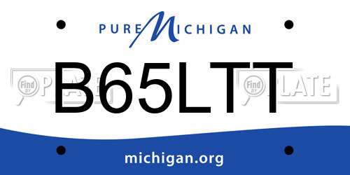B65LTT Michigan License Plate