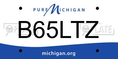 B65LTZ Michigan License Plate