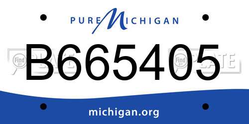 B665405 Michigan License Plate