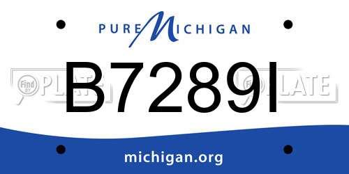 B7289I Michigan License Plate